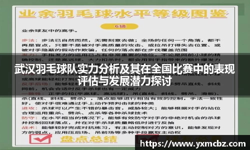 武汉羽毛球队实力分析及其在全国比赛中的表现评估与发展潜力探讨