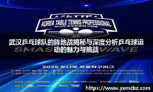 武汉乒乓球队的阵地战揭秘与深度分析乒乓球运动的魅力与挑战